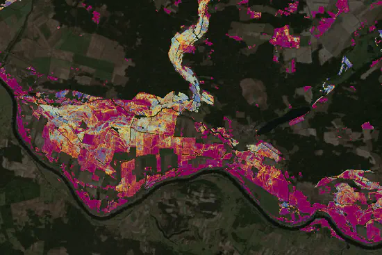 Drought impacts on grasslands